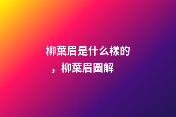 柳葉眉是什么樣的，柳葉眉圖解